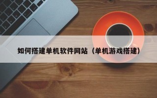 儋州如何搭建单机软件网站（单机游戏搭建）