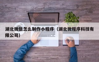 儋州湖北微信怎么制作小程序（湖北微程序科技有限公司）